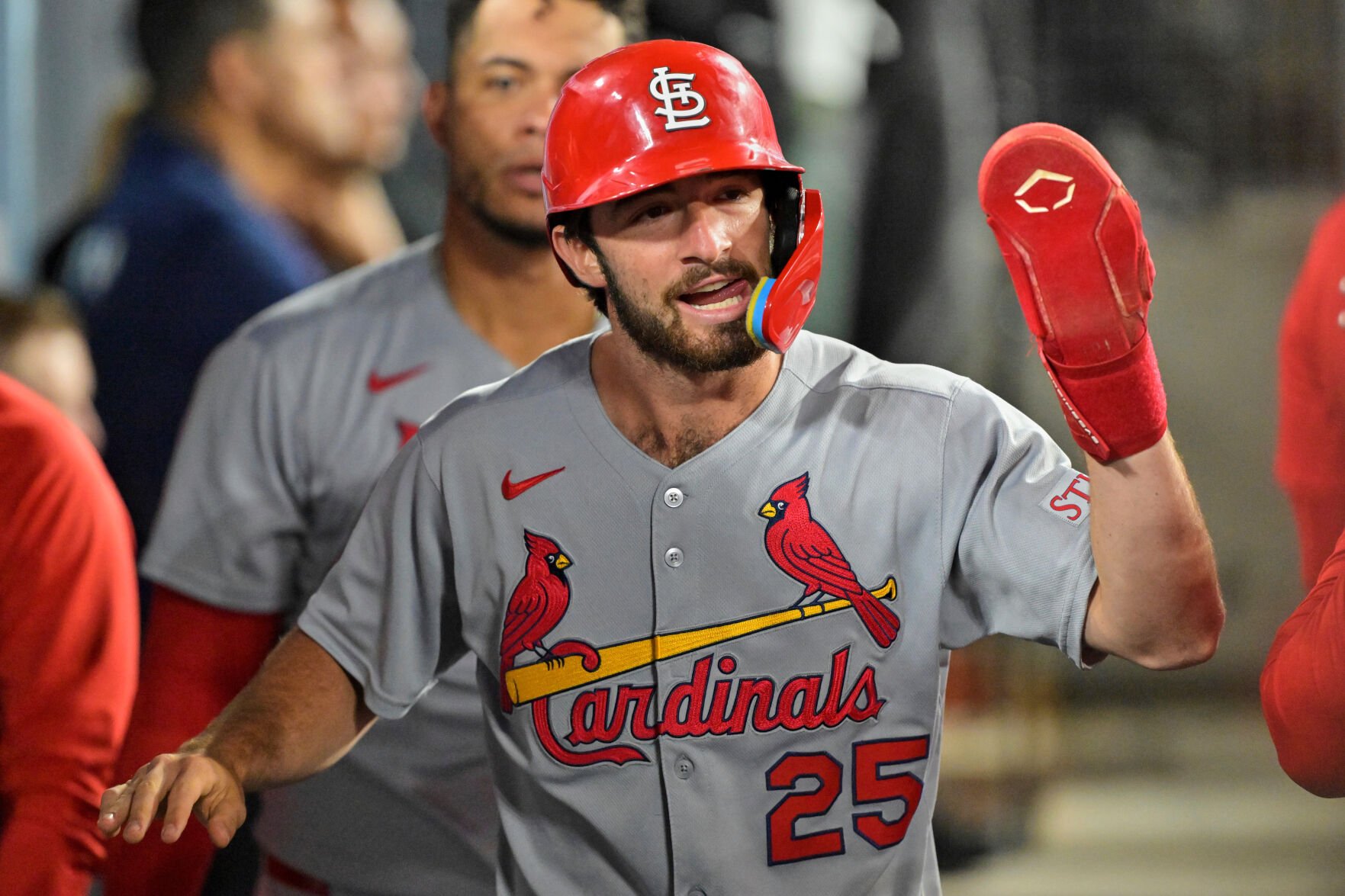Cardinals Dodgers Baseball